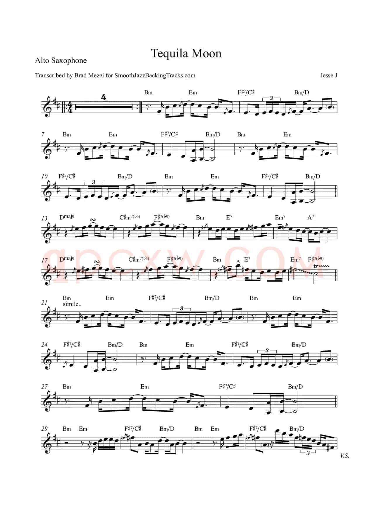 Tequila Moon（中音萨克斯）