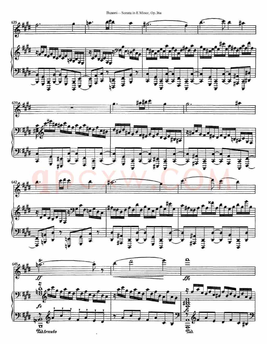 Violin Sonata No.2 in E Minor Op.36（小提琴+钢琴伴奏）