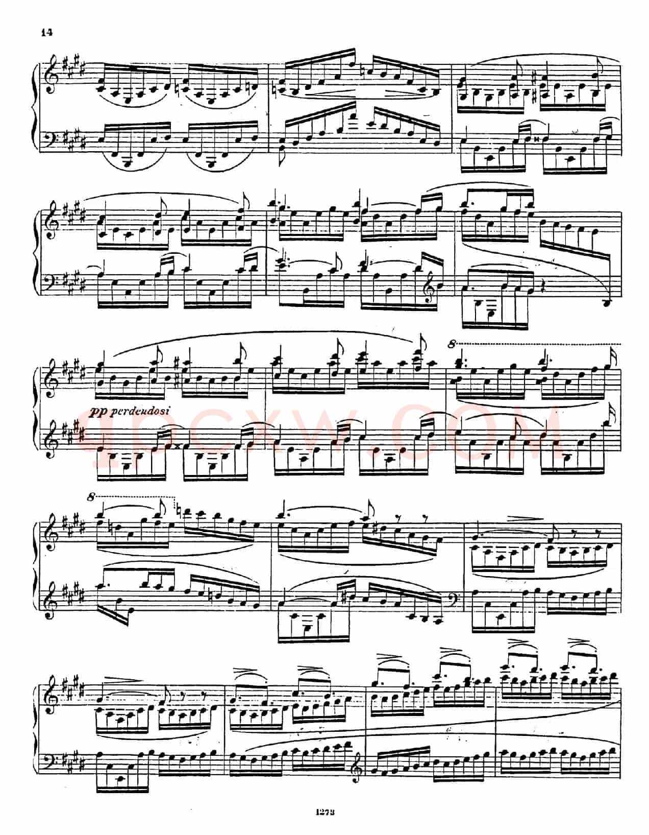 Nocturne Fantasie Op.20（幻想夜曲）