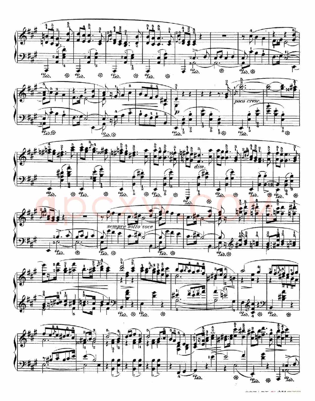 Polonaise in f-Sharp Minor Op.44(升f小调波兰舞曲)