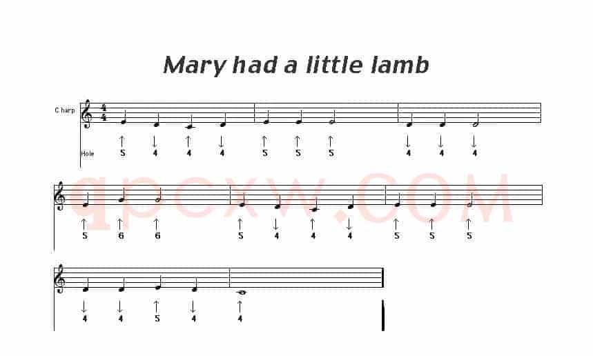 Mary had a little lamb（玛丽有只小羊羔）（布鲁斯）