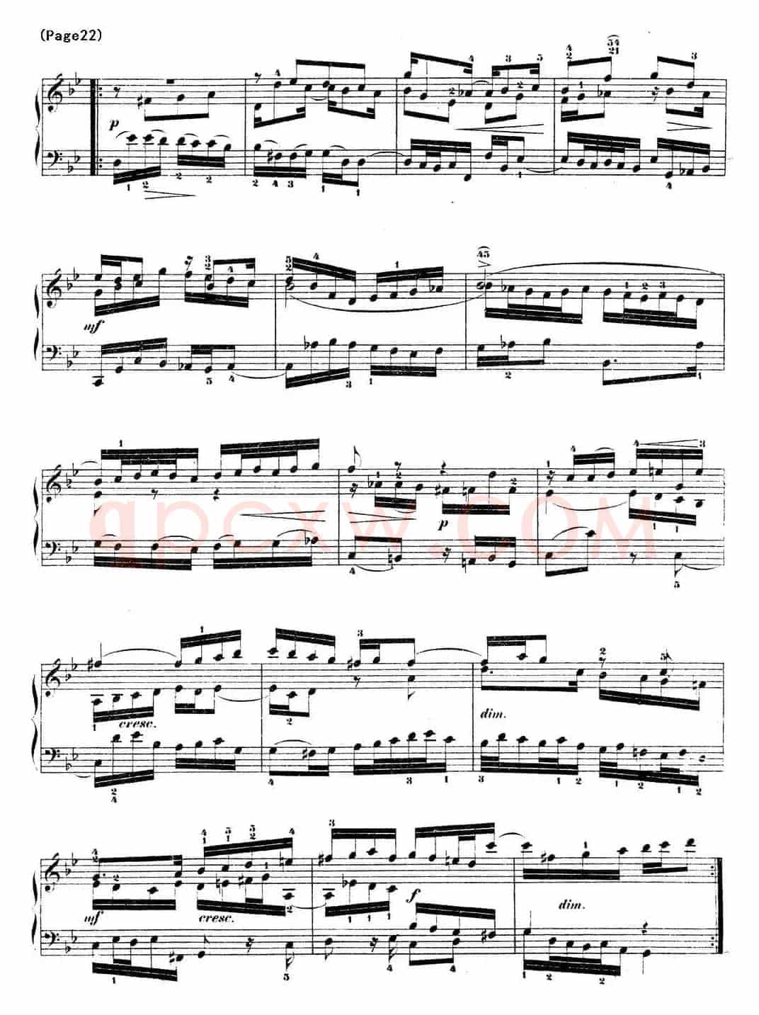 哥德堡变奏曲 巴赫 Goldberg Variationen BWV988