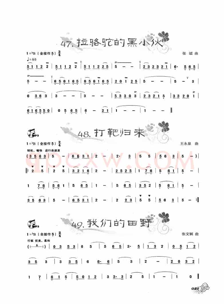 葫芦丝曲精选：拉骆驼的黑小伙 打靶归来 我们的田野 