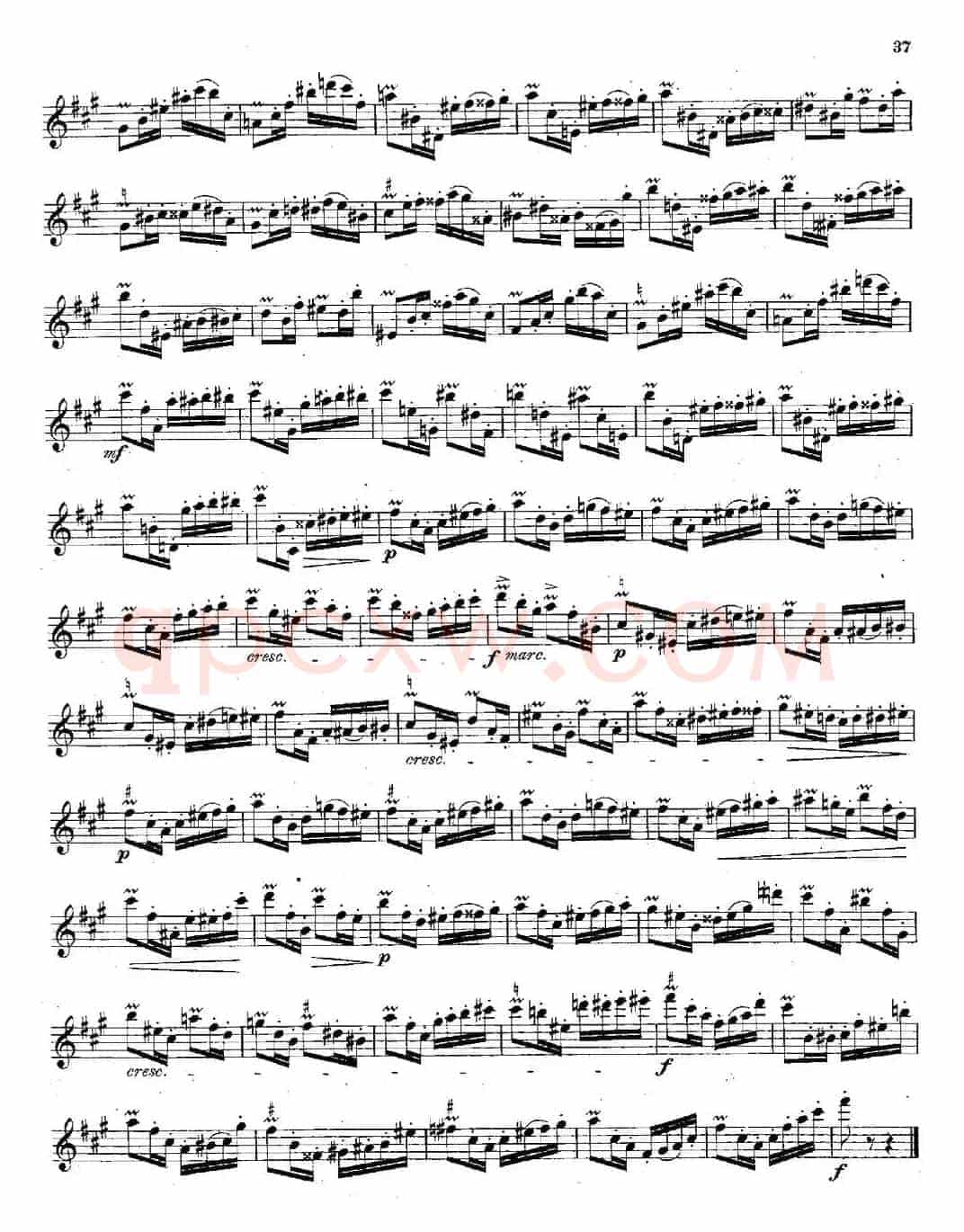 Schule der Virtuosität. Op. 60（8）