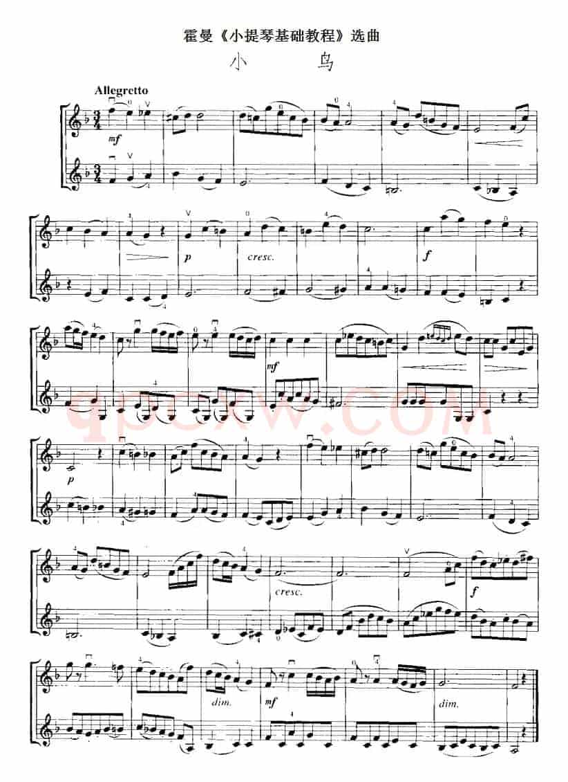 霍曼《小提琴基础教程》选曲：小鸟（二重奏）