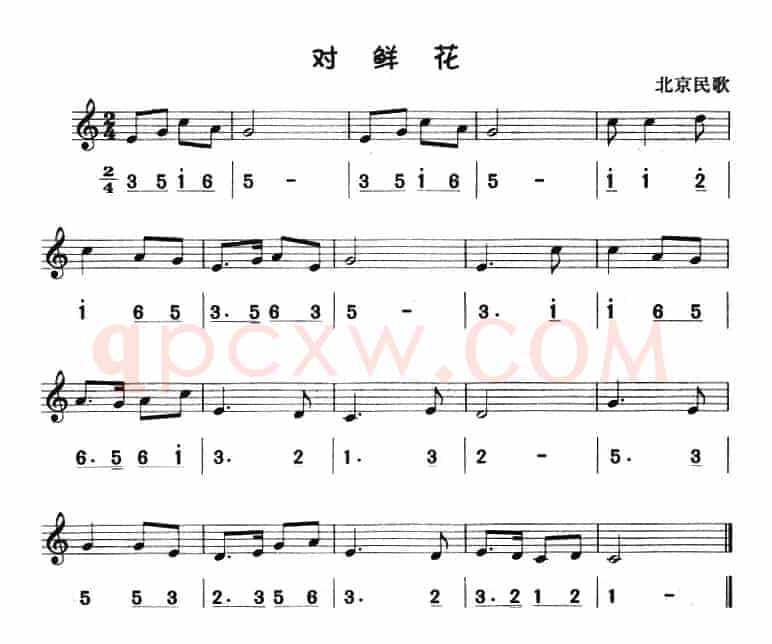 对鲜花（八孔竖笛线简谱对照版）