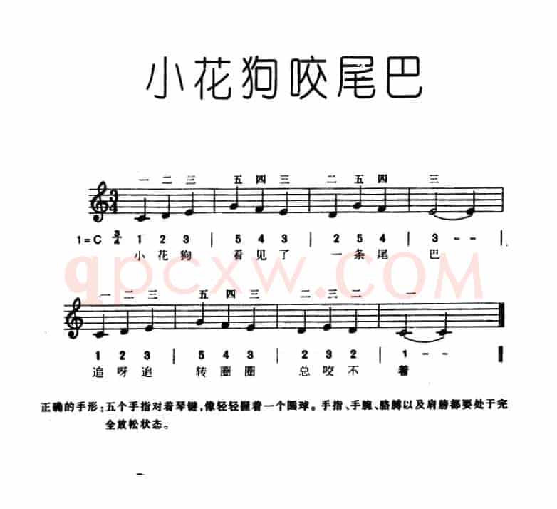 小花狗咬尾巴