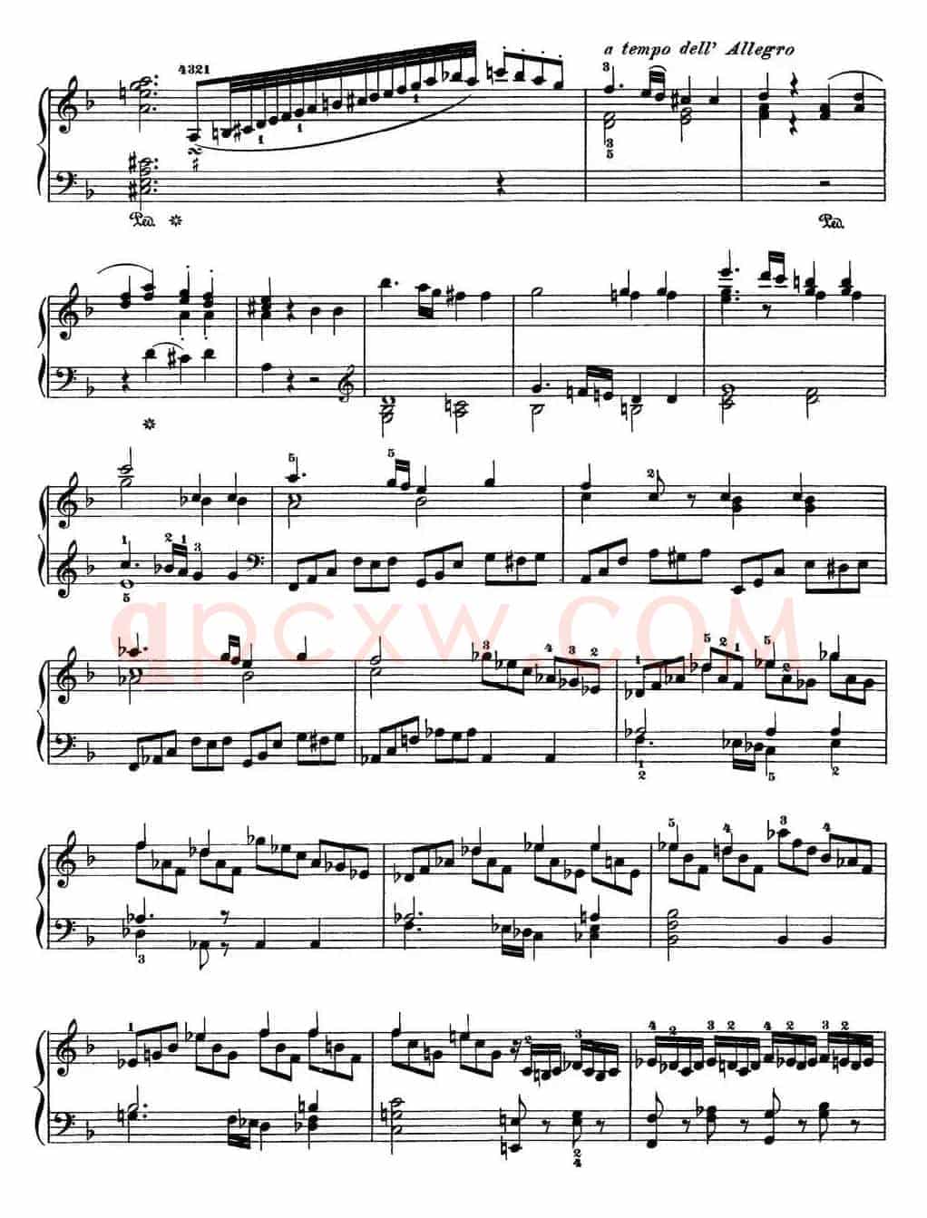 二十八部钢琴协奏曲 No.20（P16-30）