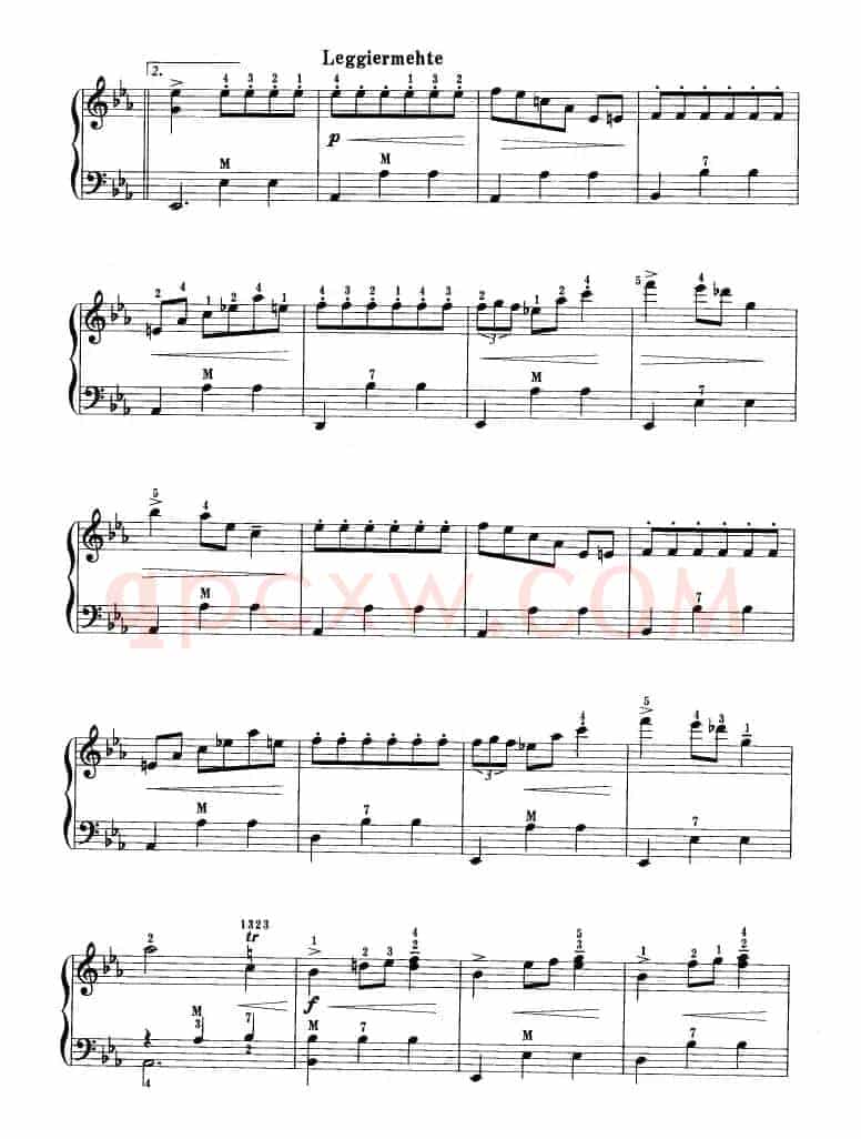 华丽大圆舞曲