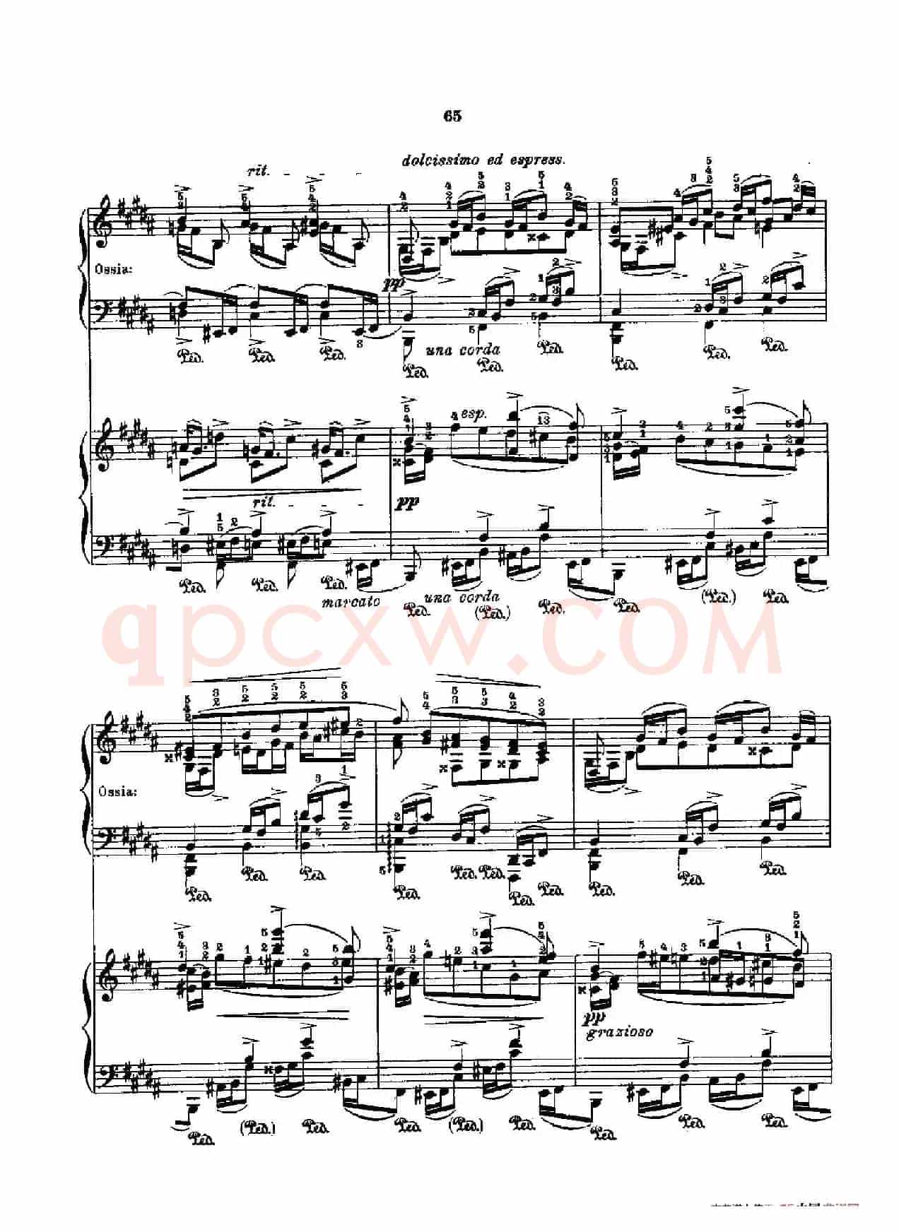 53首以肖邦练习曲为素材而作的练习曲（No.29）