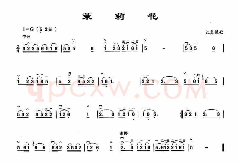 茉莉花