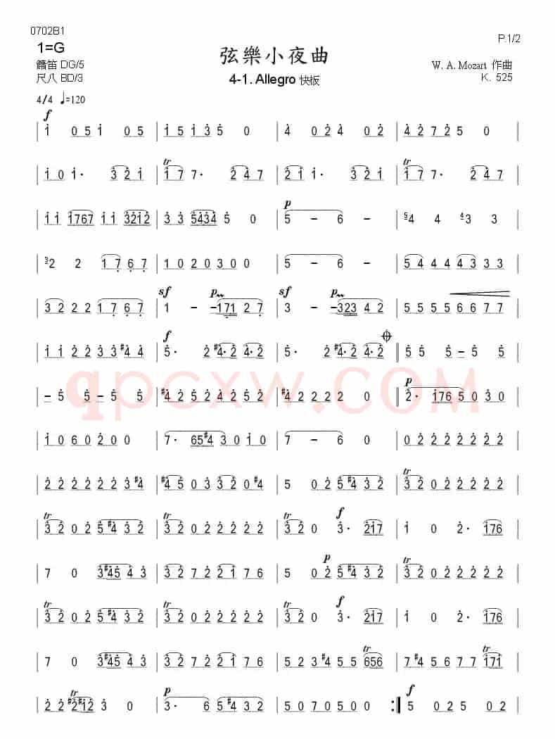 弦乐小夜曲（莫扎特作品 K.525）（箫）
