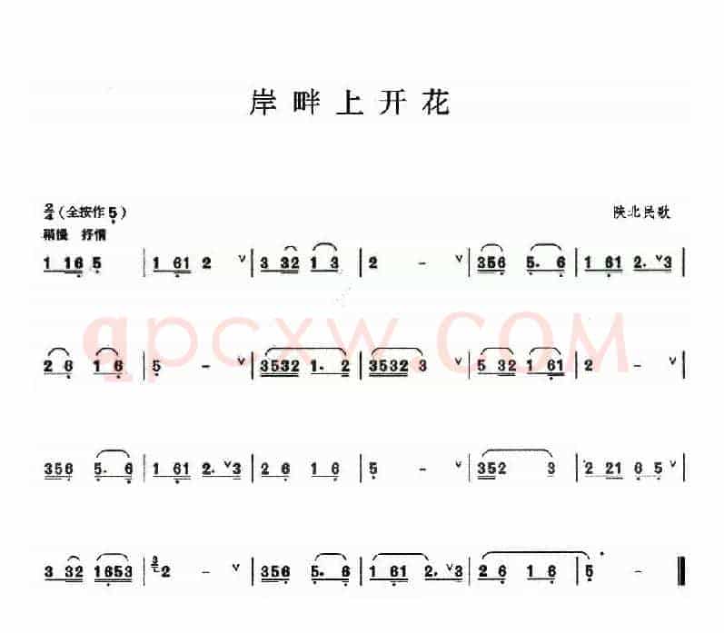 岸畔上开花