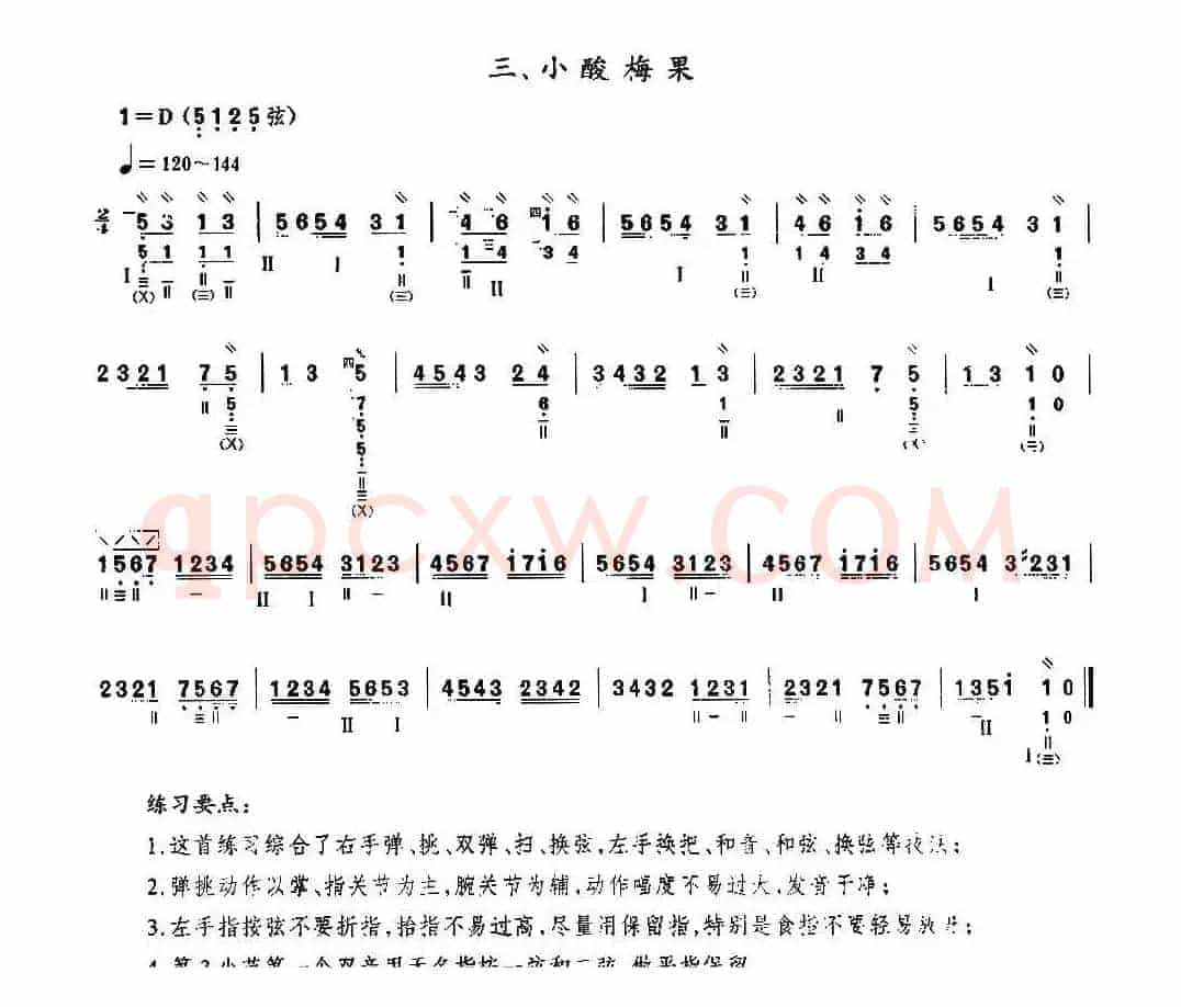 小酸梅果