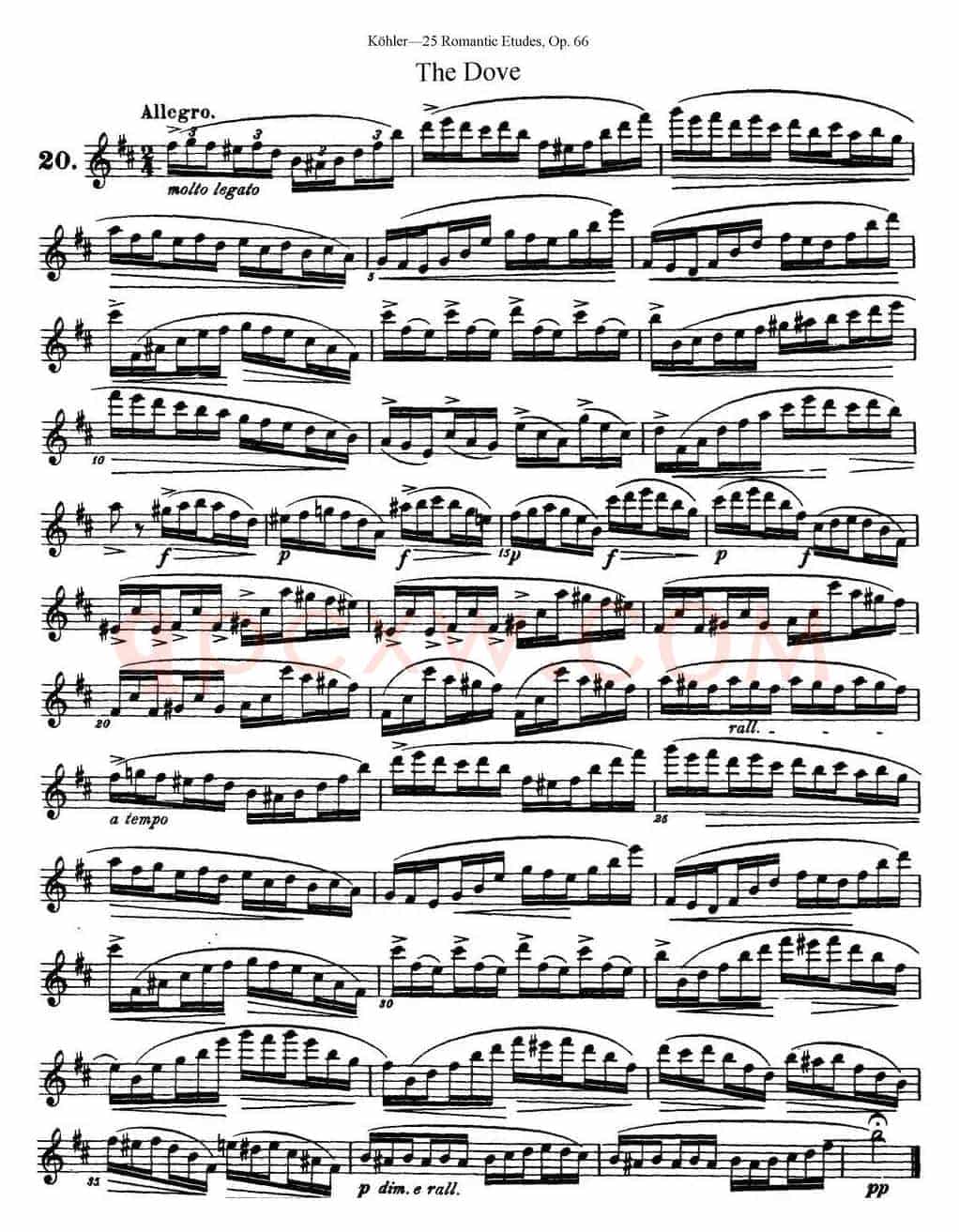 25首浪漫练习曲作品66号（NO.20）