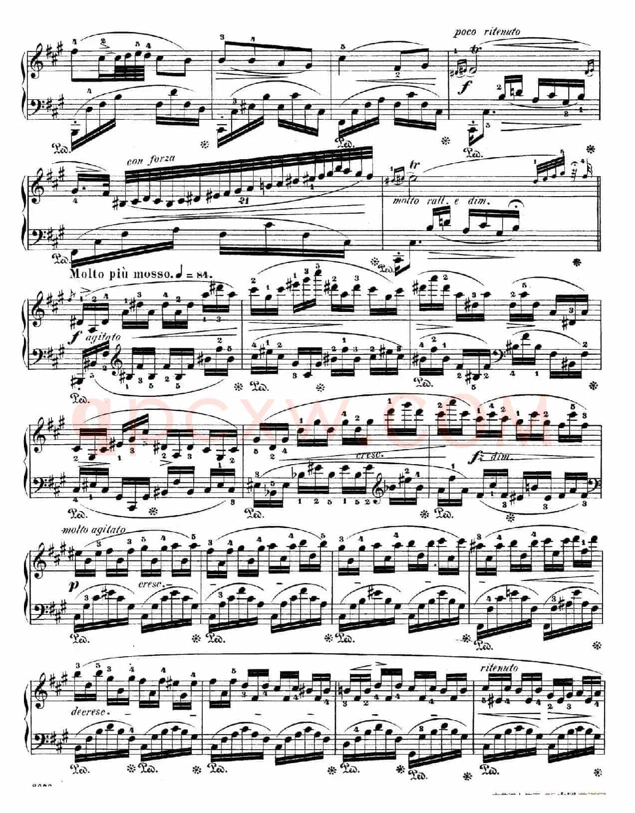 Grand Fantasy on Polish Airs Op.13（华丽的波兰民歌幻想曲·钢琴独奏版）