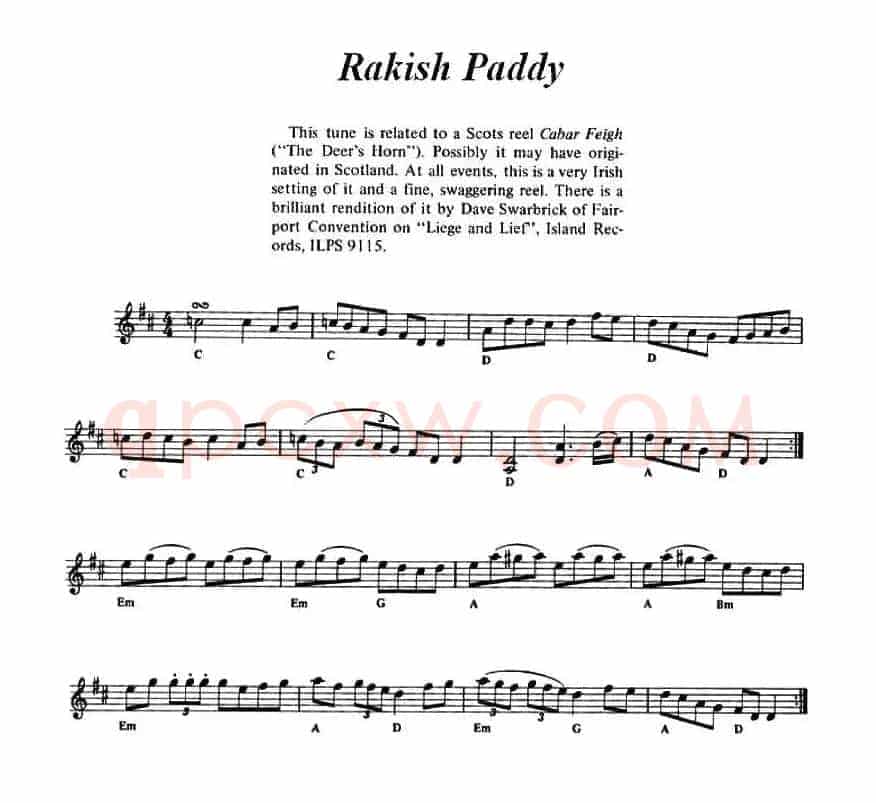 Rakish Paddy（爱尔兰民歌）