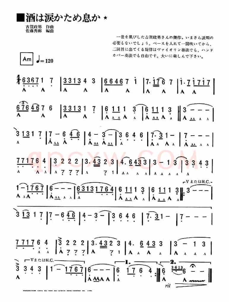 酒和泪
