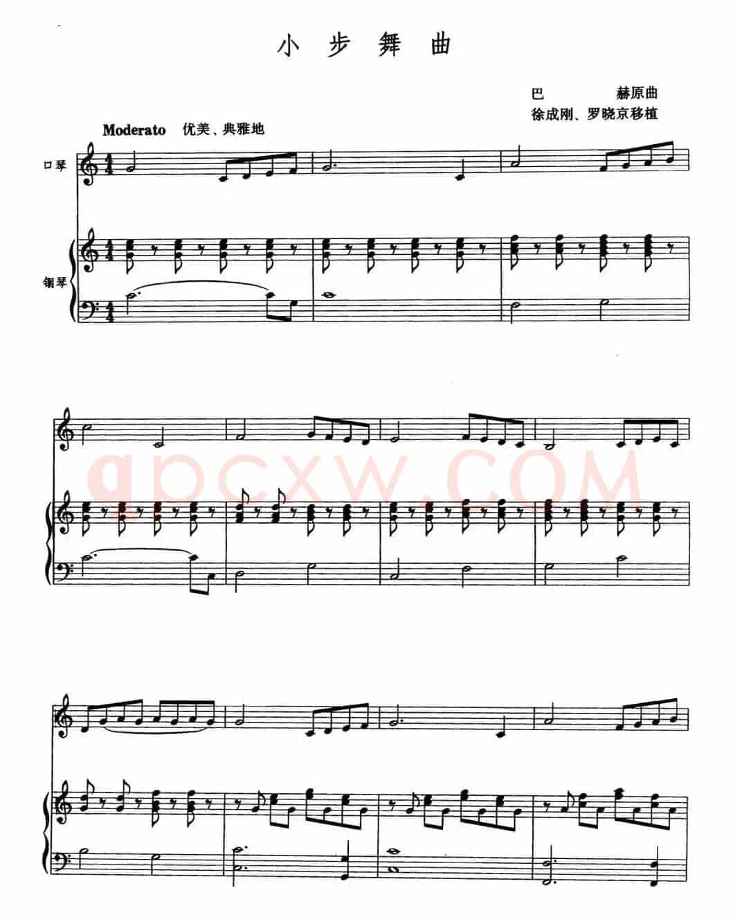小步舞曲（徐成刚 罗晓京移植）