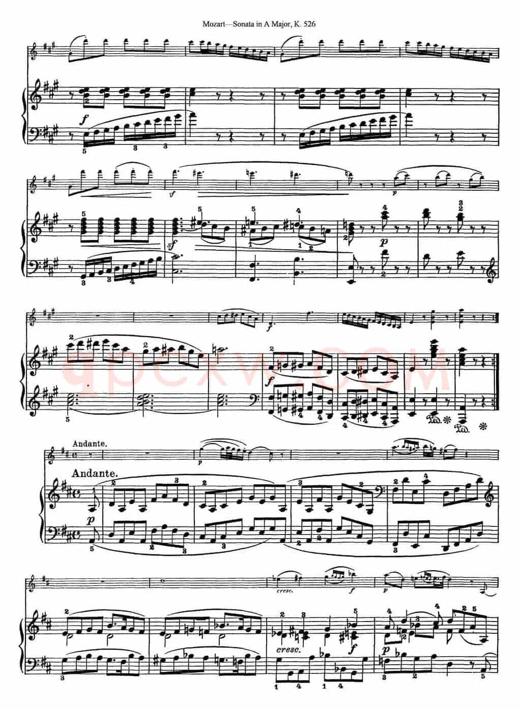 Violin Sonata in A Major K.526（小提琴+钢琴伴奏）