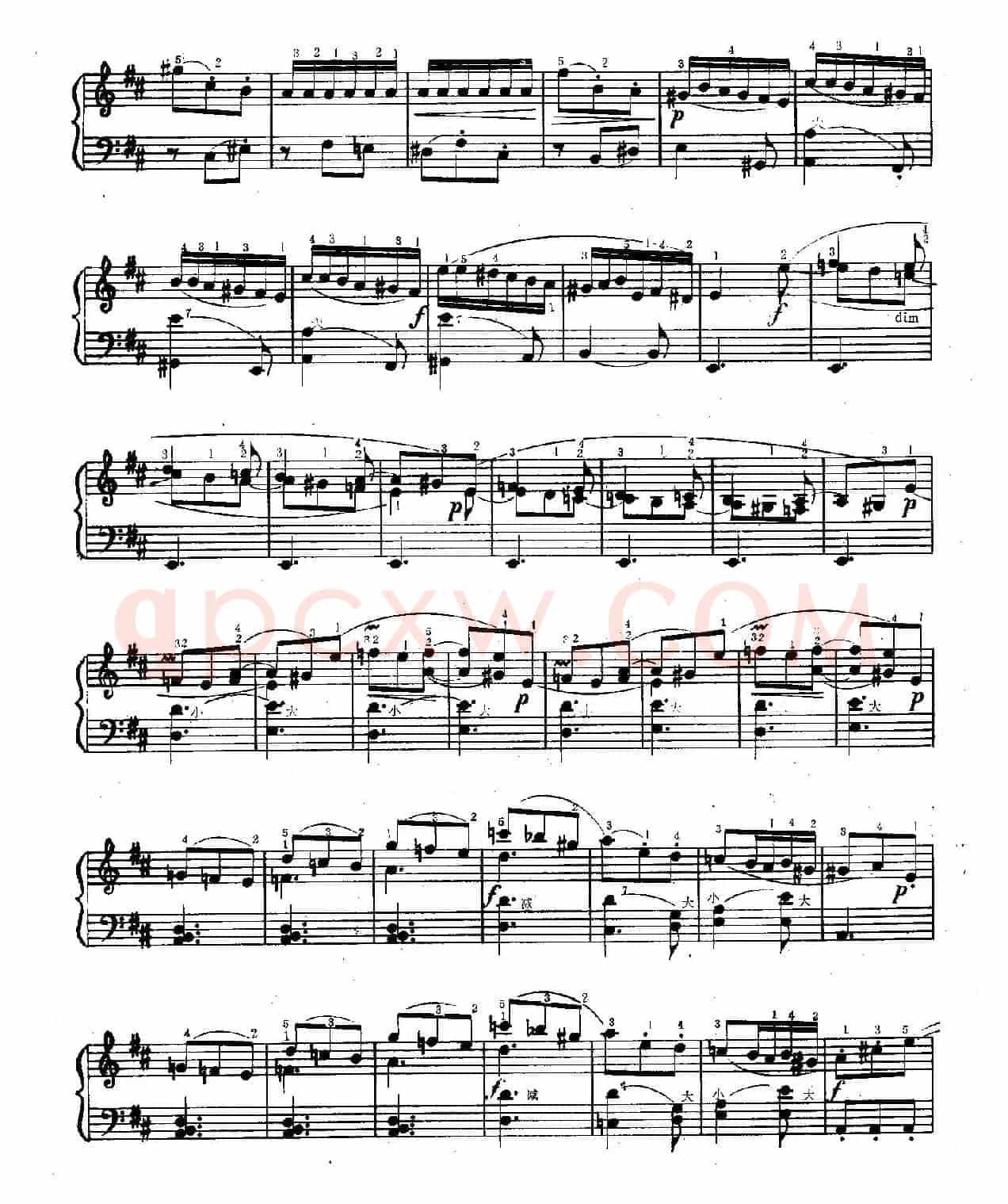 D大调奏鸣曲