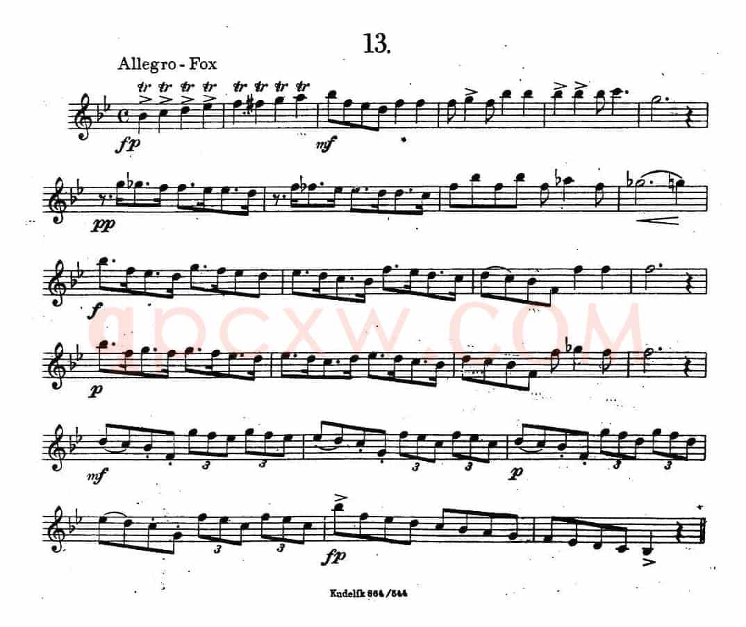 奇特克-萨克斯练习曲之13（ETUDY PRO SAXOPHON - FR ZITRK.op.3）