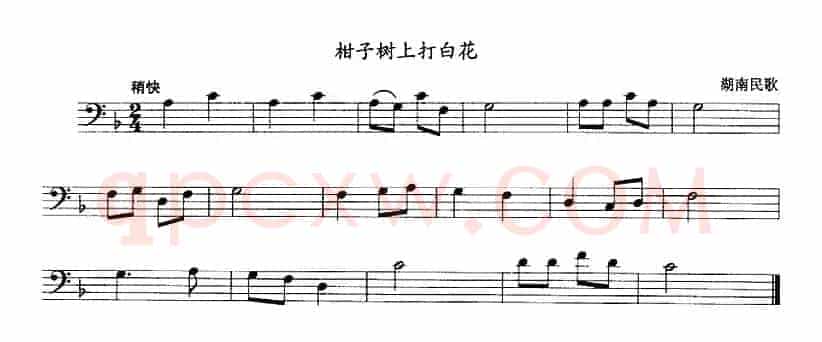 柑子树上打白花（长号）