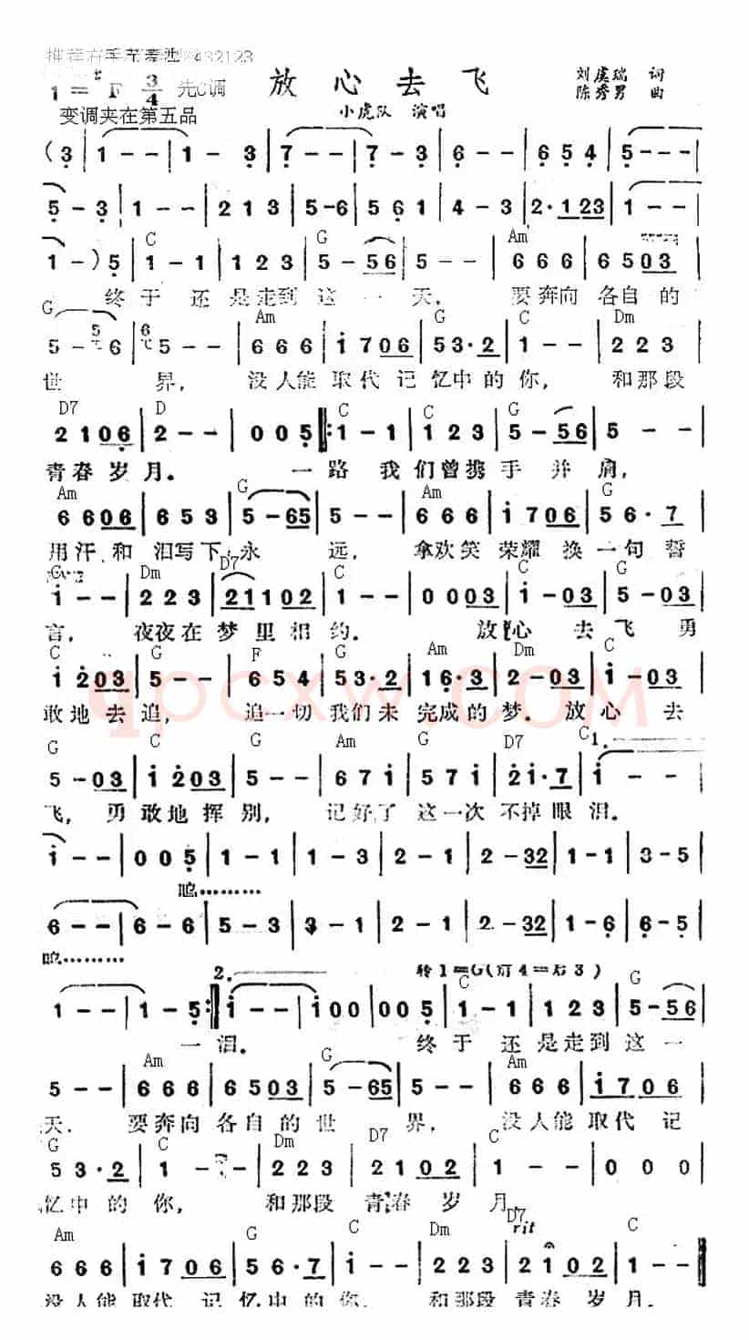 放心去飞