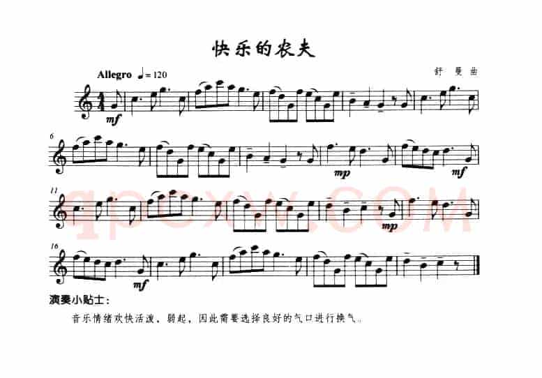 快乐的农夫