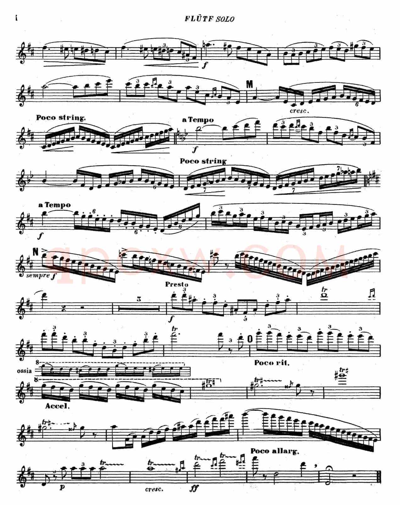 Concertino Op107（长笛协奏曲长笛独奏）