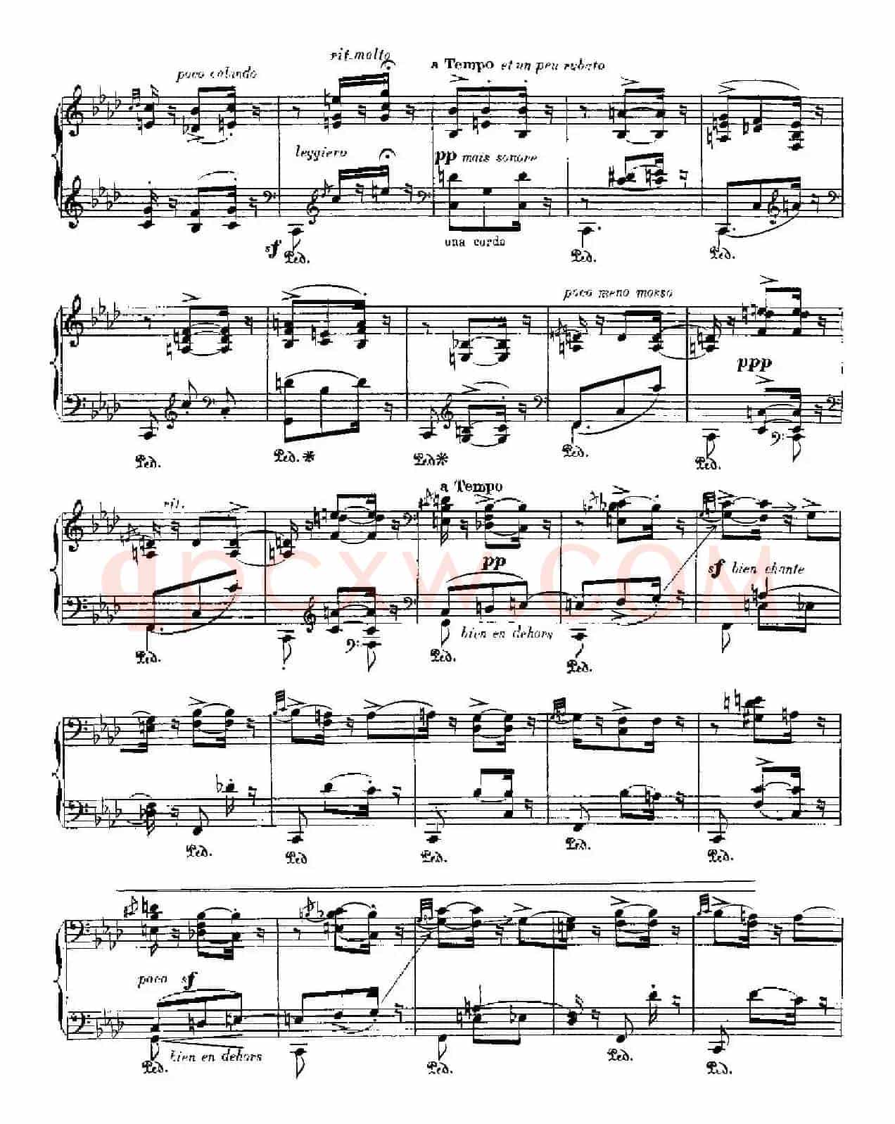 伊贝利亚组曲：EL POLO