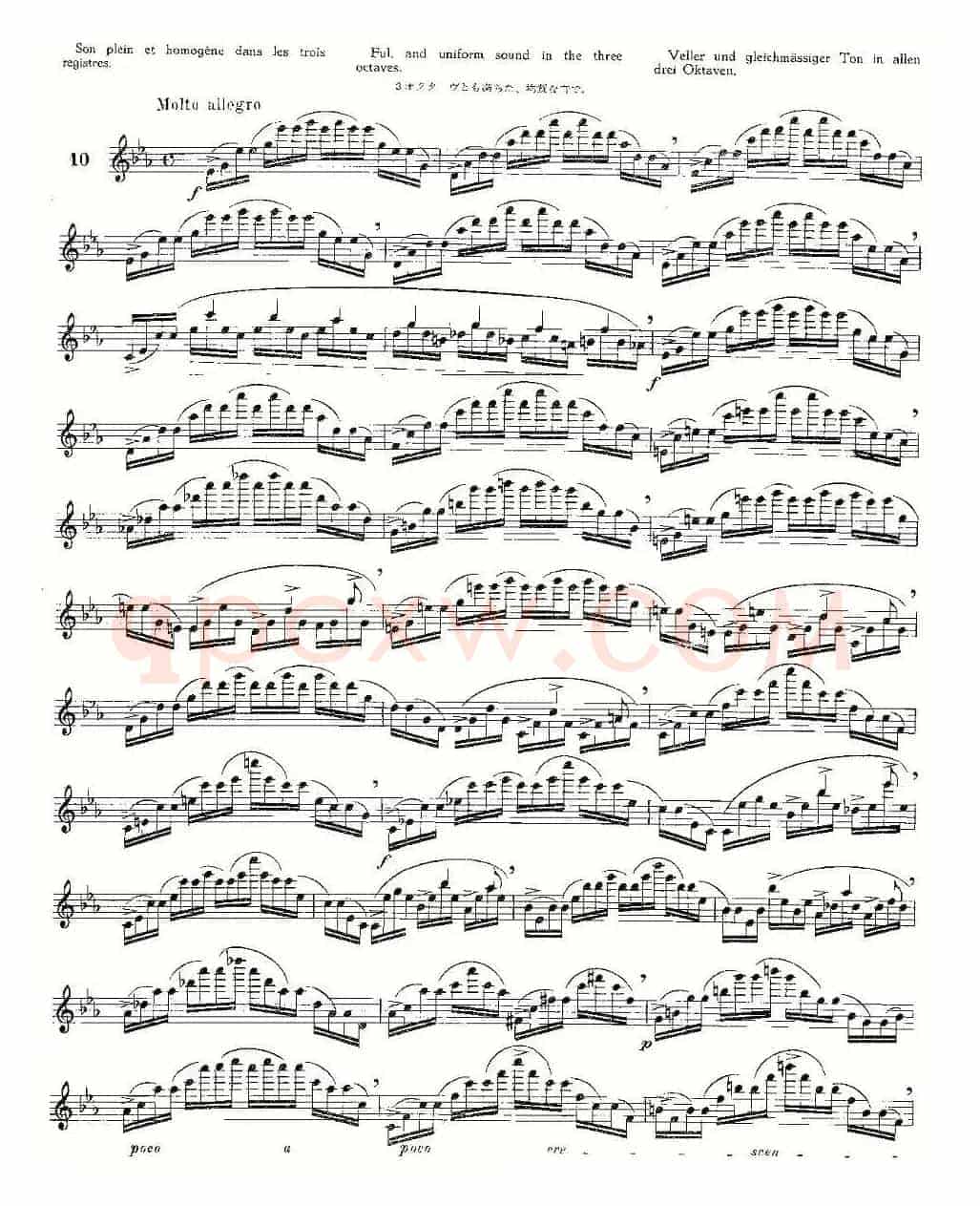 12首大技巧练习曲之10