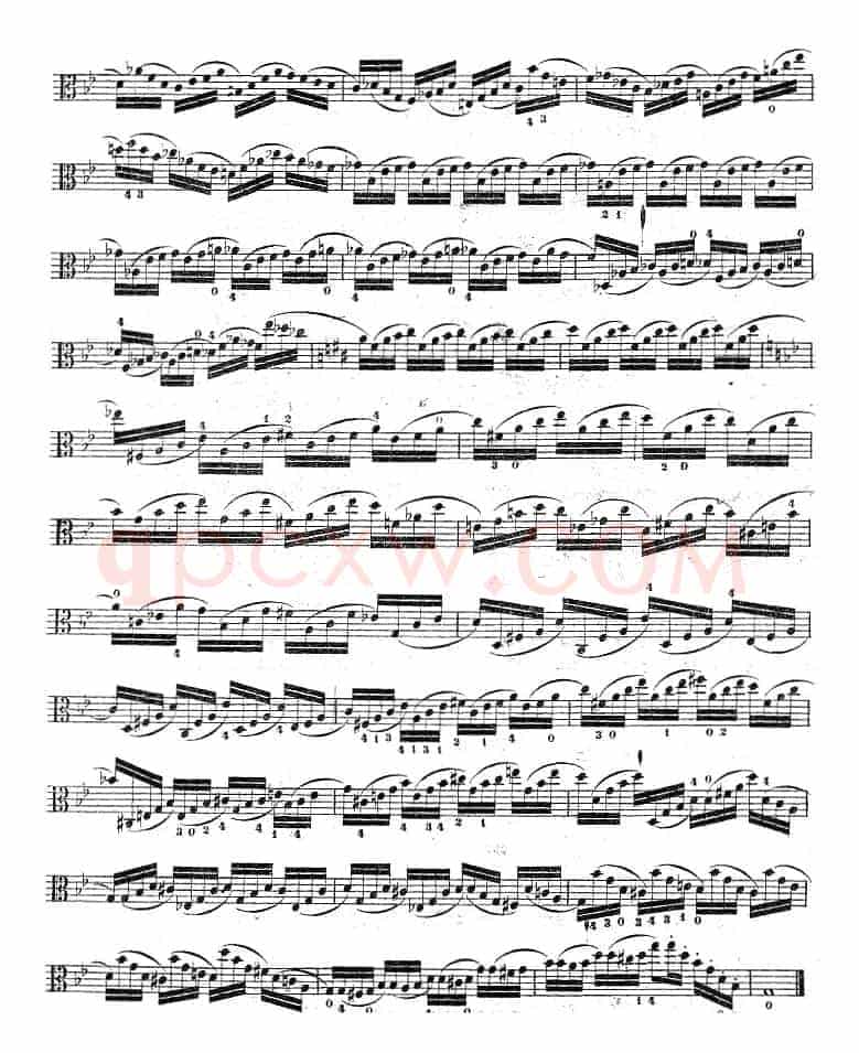 克莱采尔《中提琴练习曲40首》（ETUDE 24-26）