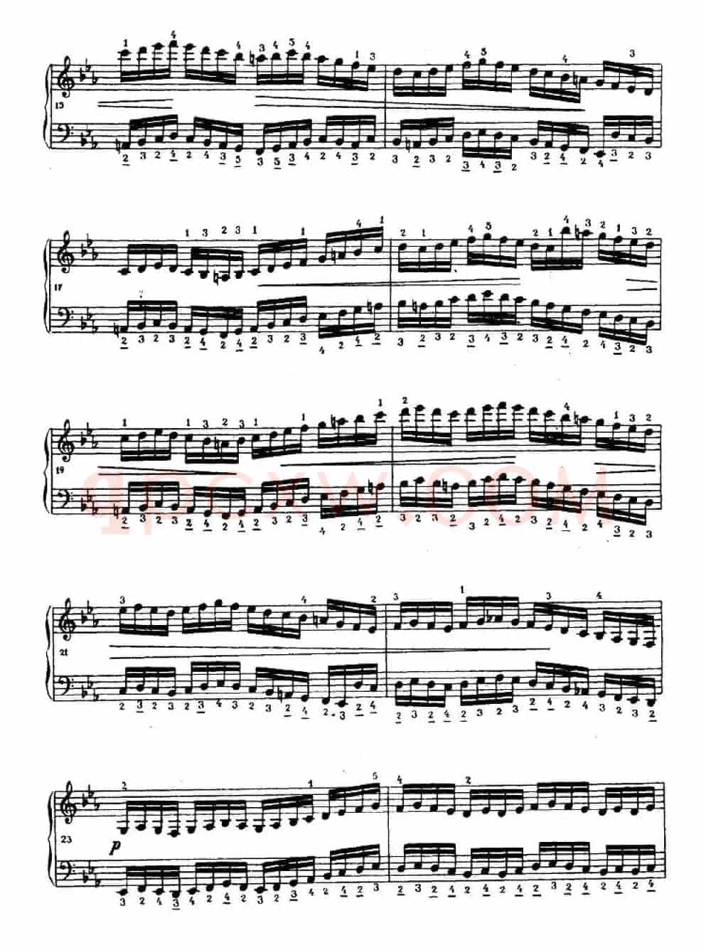 手风琴练习曲（3）