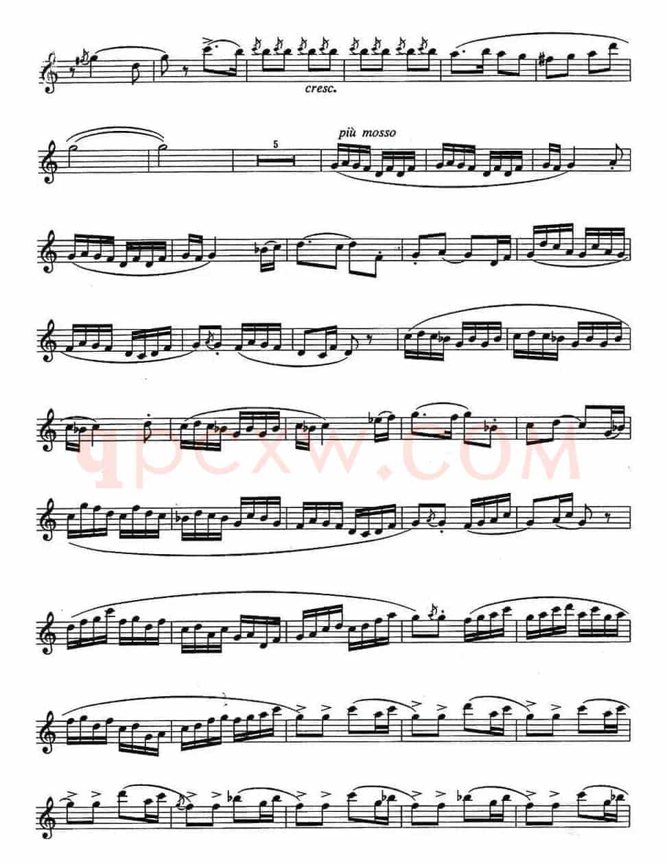 中国狂想曲