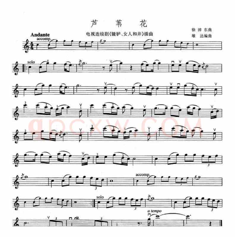 芦苇花（电视剧《辘轳、女人和井》插曲）