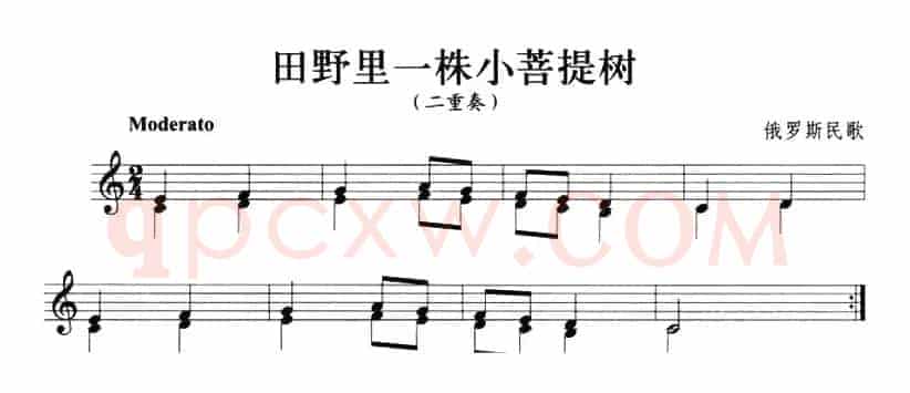 田野里一株小菩提树（小号）