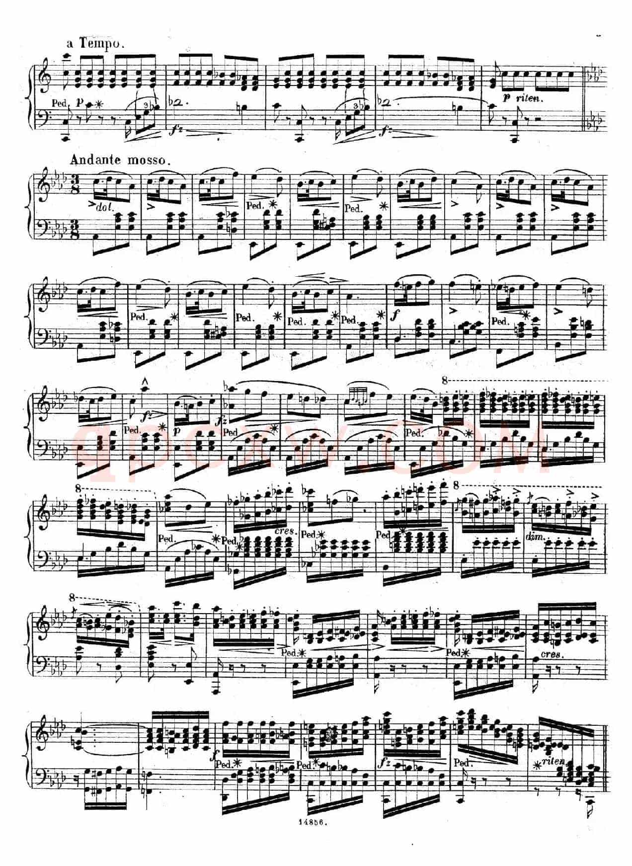 Bouquet de Melodies（茶花女幻想曲）