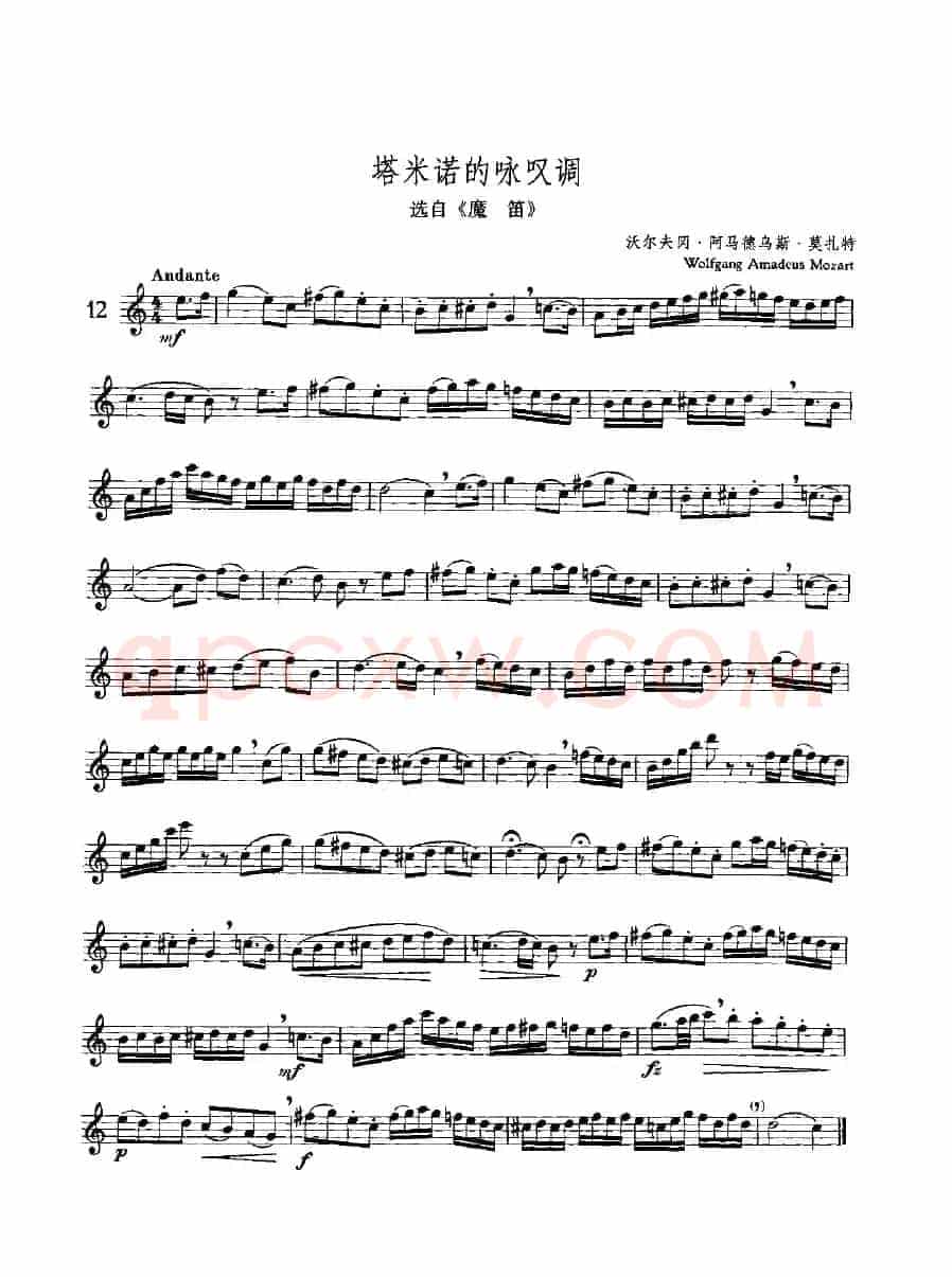 塔米诺的咏叹调（选自《魔笛》、独奏部分）