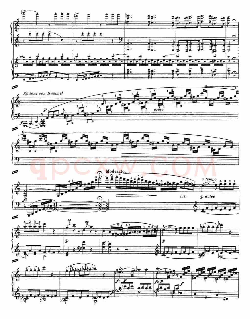 二十八部钢琴协奏曲 No.25（P16-30）