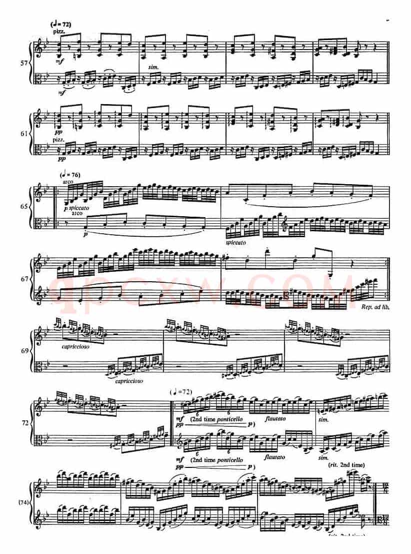 Passacaglia（帕萨卡利亚）（小提琴+中提琴）