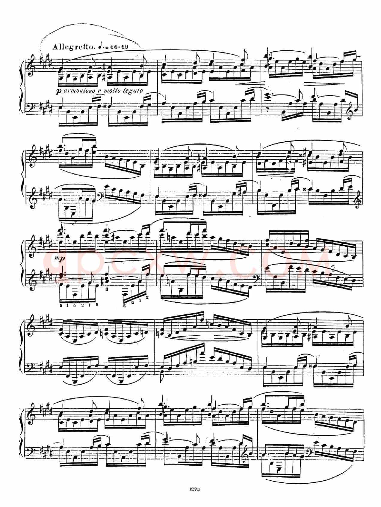Nocturne Fantasie Op.20（幻想夜曲）