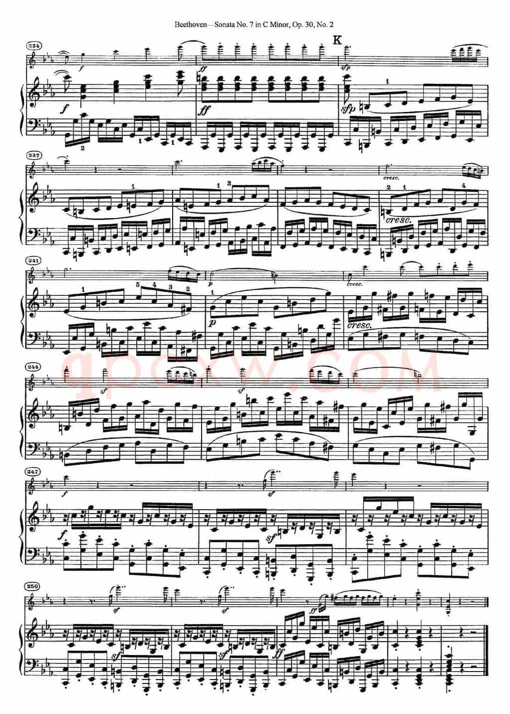 Violin Sonata No.7 in C Minor Op.30 No.2（小提琴+钢琴伴奏）