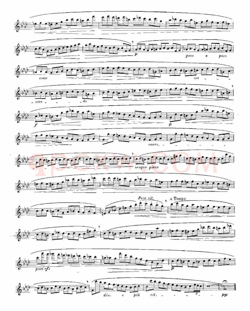12首大技巧练习曲之11