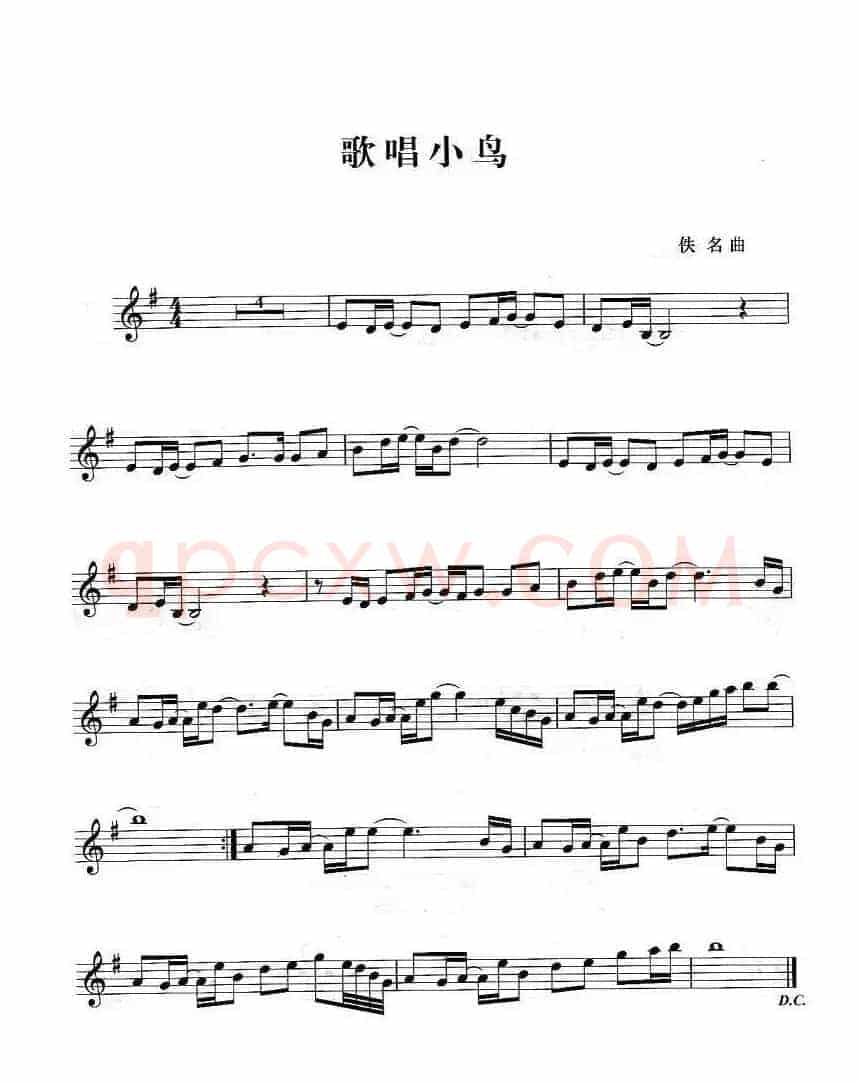 歌唱小鸟