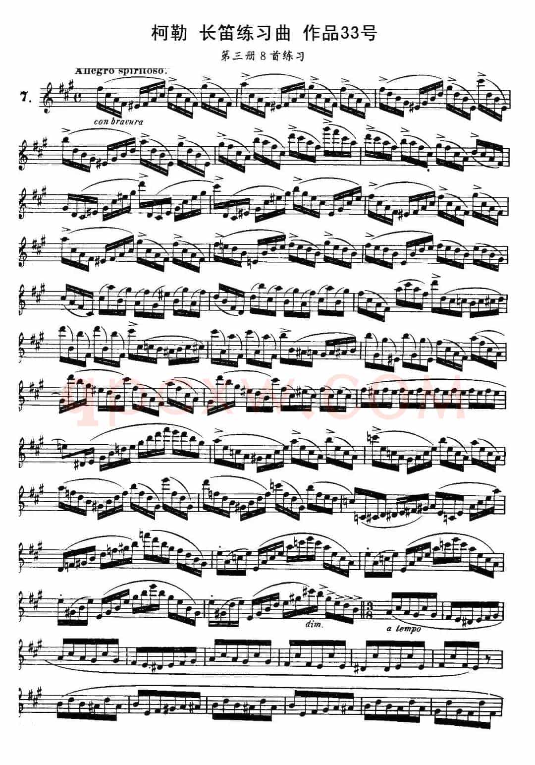 柯勒长笛练习曲作品33号（第三册）（7）