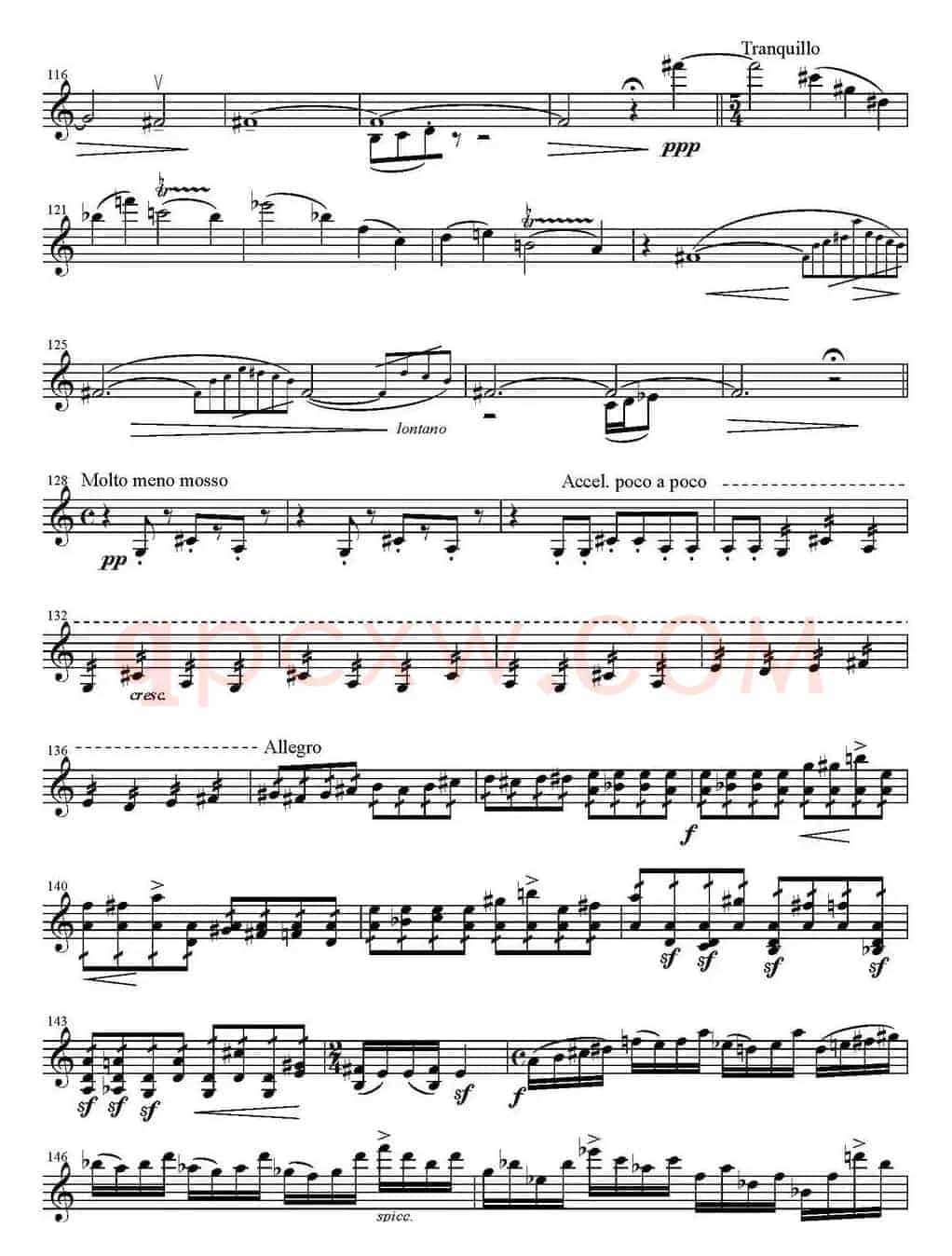 Rhapsody（狂想曲）