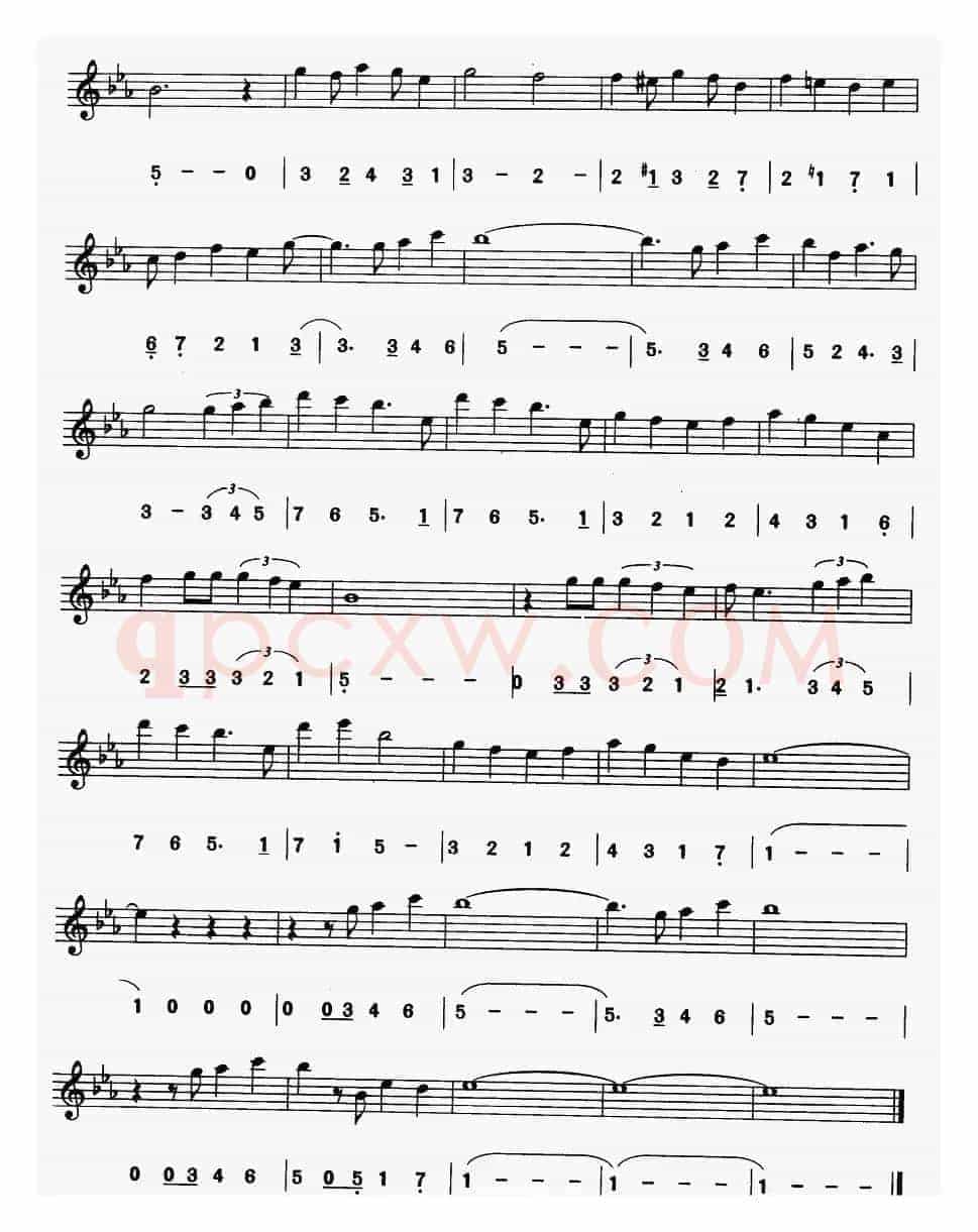 全新的世界（电影《阿拉丁》主题曲）（线简谱对照版）