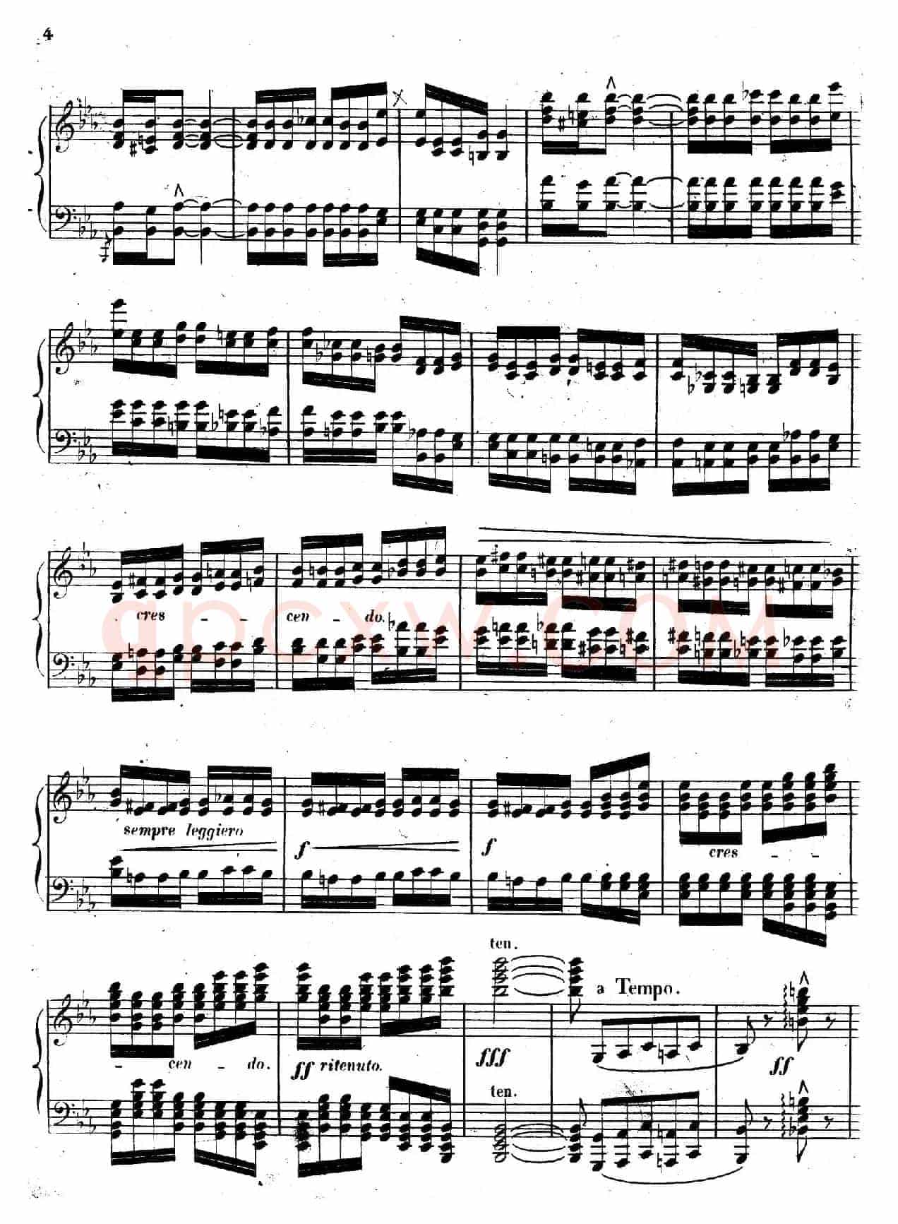 Caprice Etude de Concert
