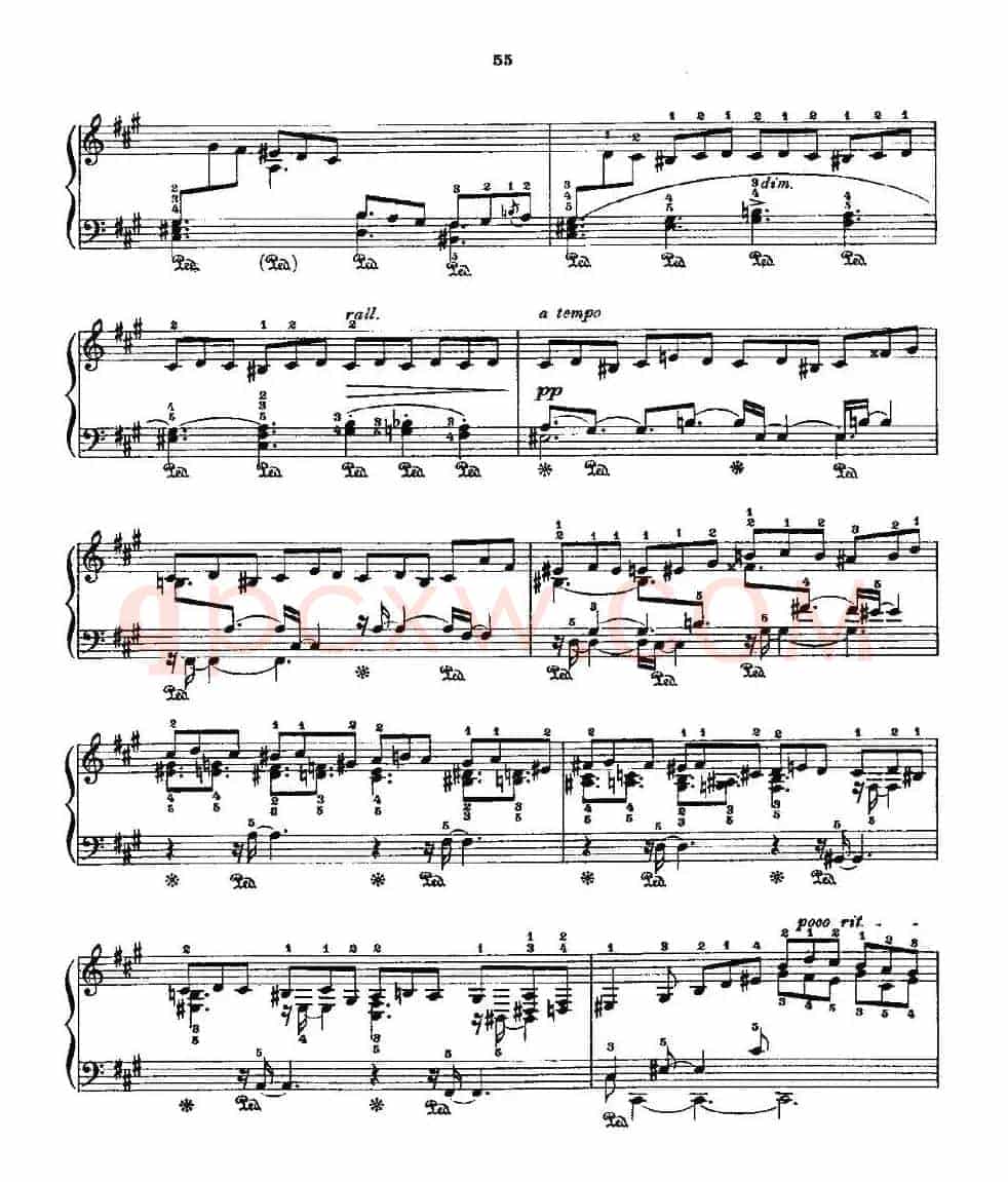 肖邦《练习曲》Fr.Chopin Op.25 No2-4